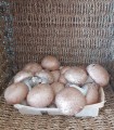 Champignons brun env 400gr